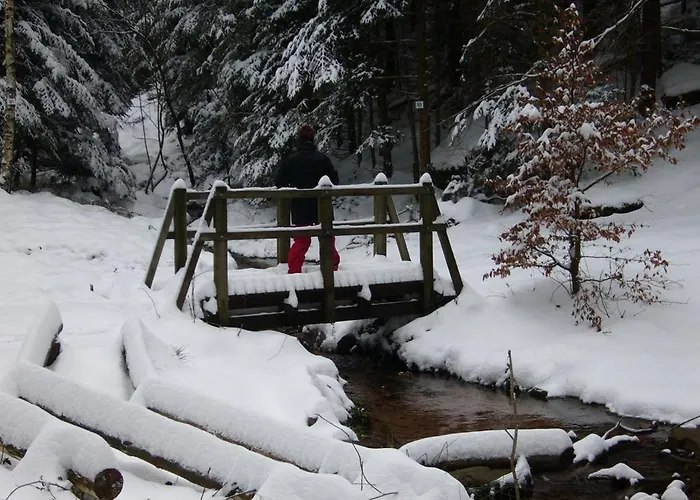 شقة La Belle Vue *